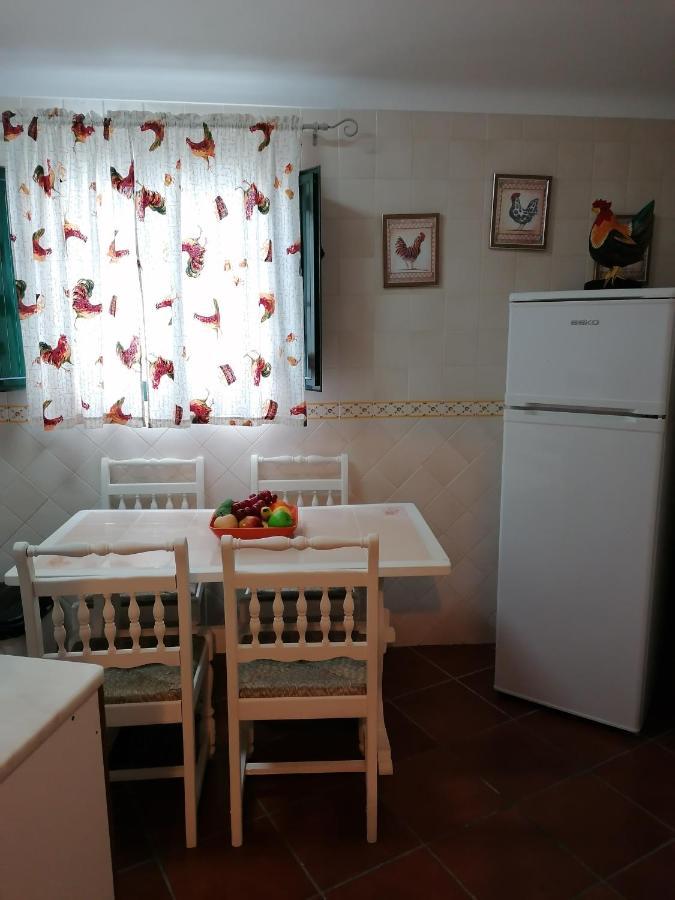 莫托拉A Casa Da Carolina别墅 外观 照片